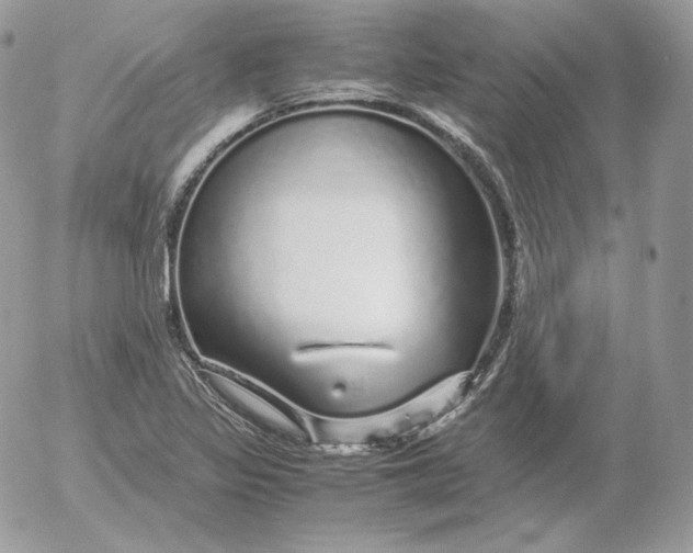 X0000052601317200507221624