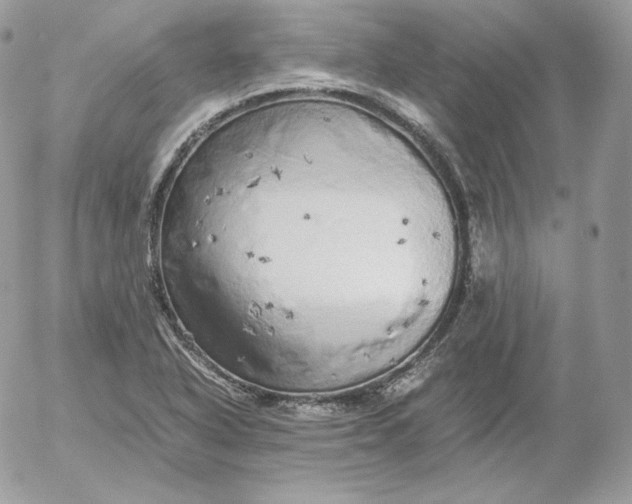 X0000052601318200507221624