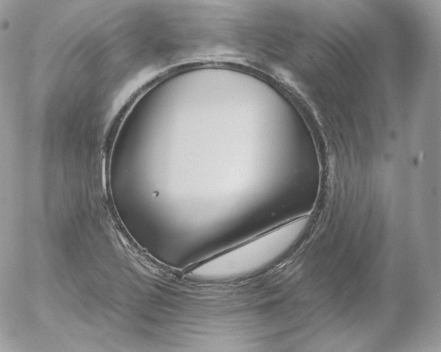 X0000052601320200507221624