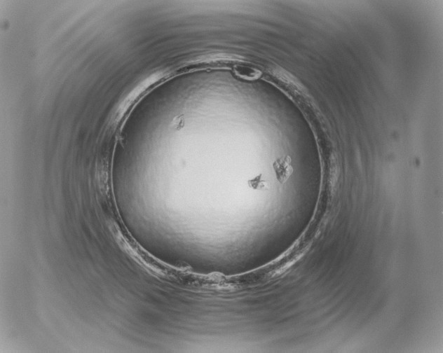 X0000052601321200507221624