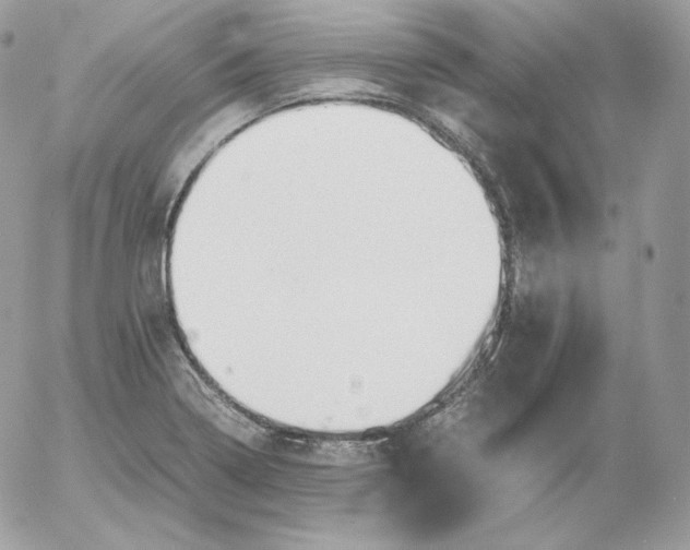 X0000052601322200507221624