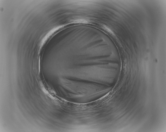 X0000052601323200507221624