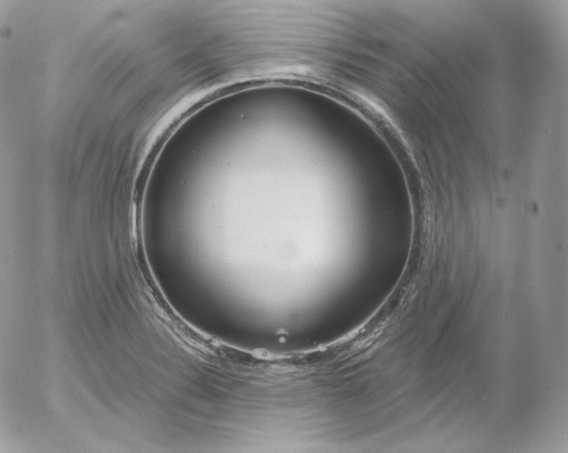 X0000052601324200507221624