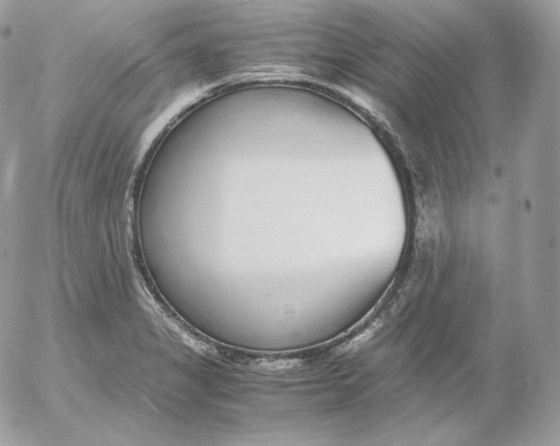 X0000052601325200507221624