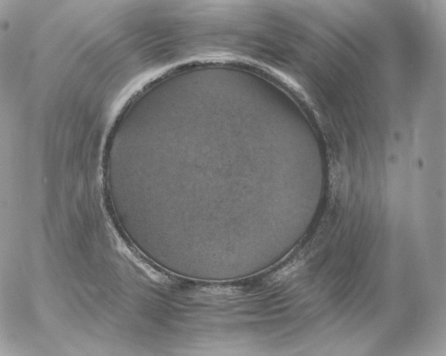 X0000052601327200507221624