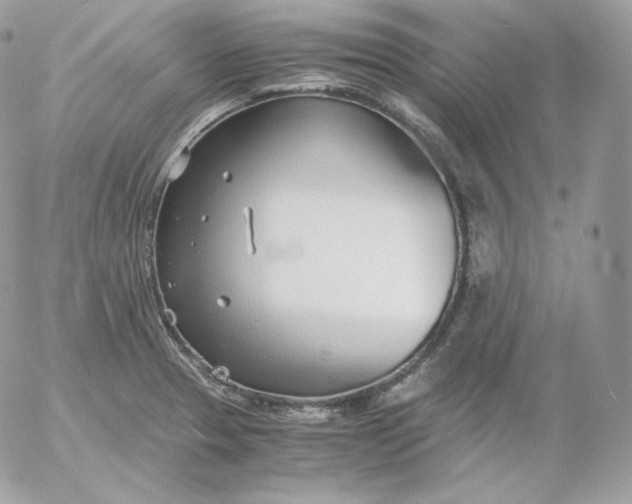 X0000052601329200507221624