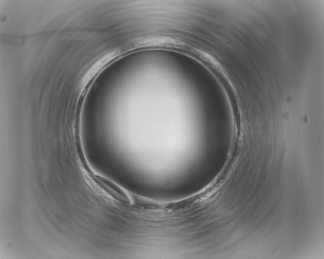 X0000052601330200507221624