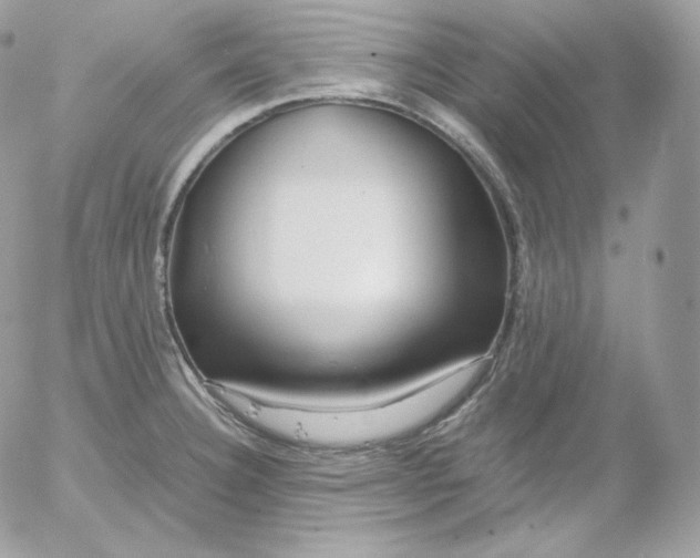 X0000052601332200507221624