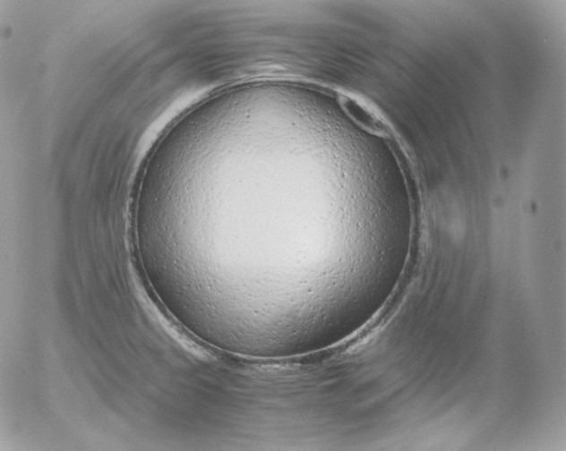 X0000052601333200507221624