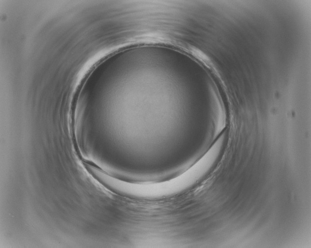 X0000052601334200507221624