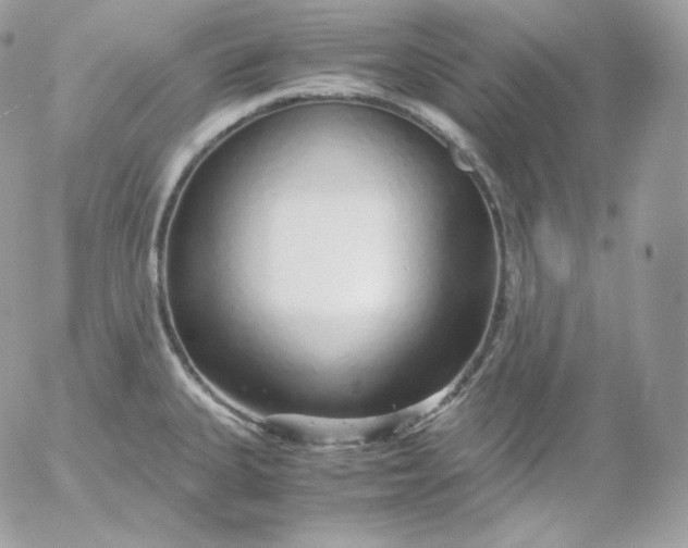 X0000052601335200507221624