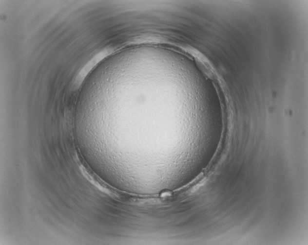 X0000052601337200507221624