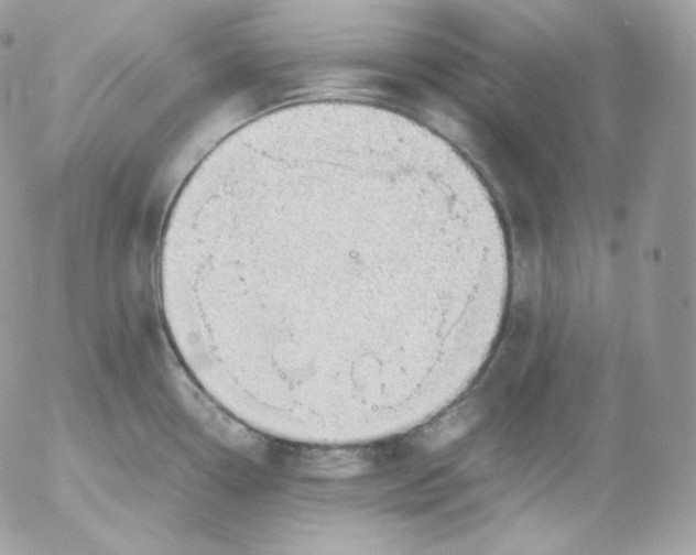 X0000052601338200507221624