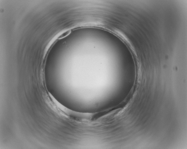 X0000052601340200507221624