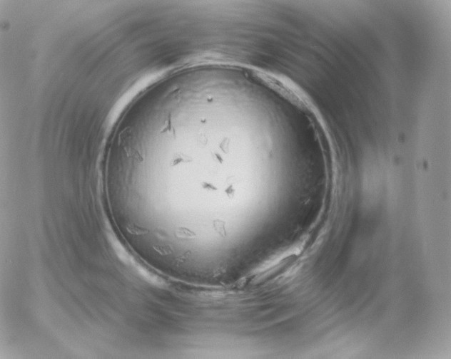 X0000052601341200507221624