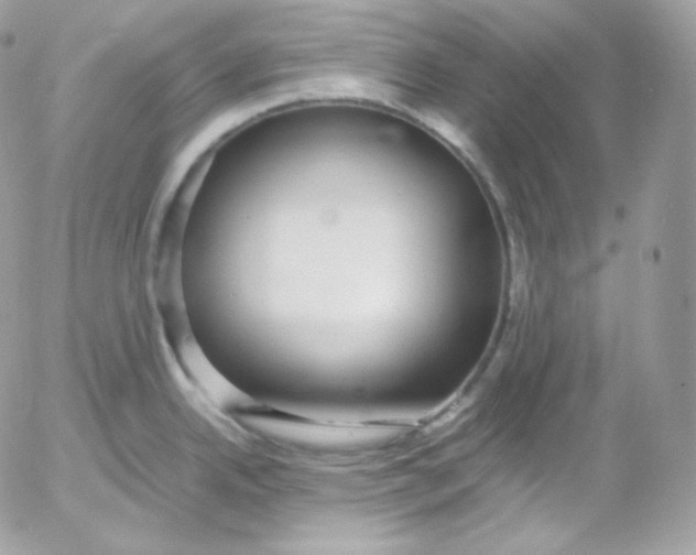 X0000052601342200507221624