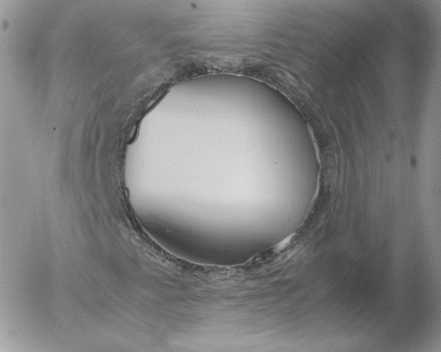 X0000052601345200507221623