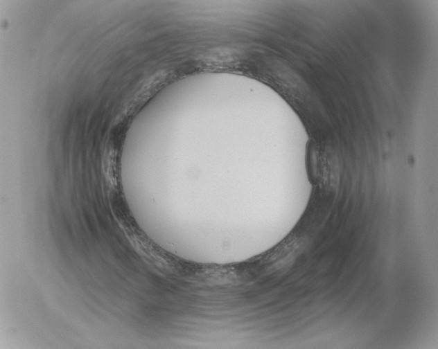 X0000052601346200507221623