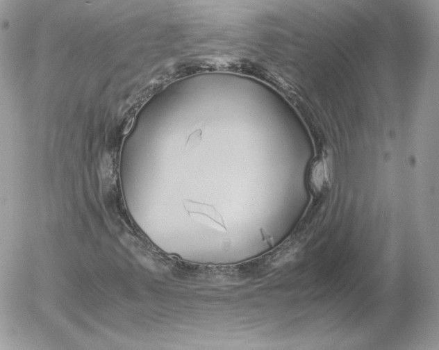 X0000052601347200507221623