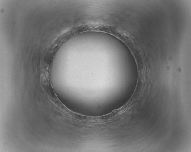 X0000052601349200507221623