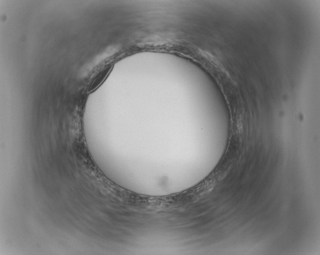 X0000052601350200507221623