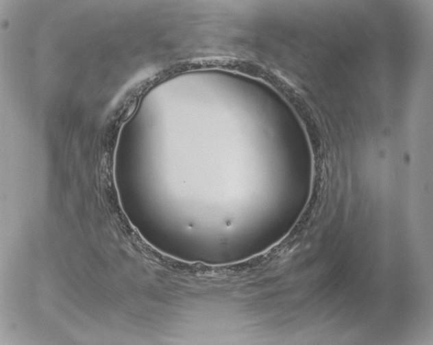 X0000052601351200507221623