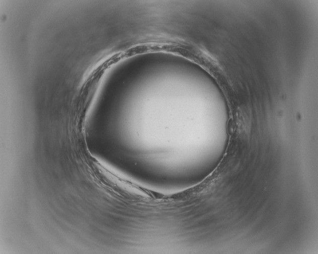 X0000052601352200507221623