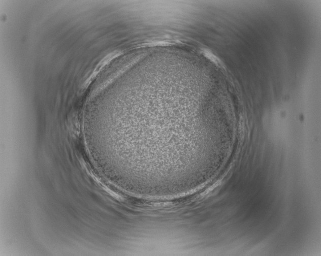 X0000052601353200507221623