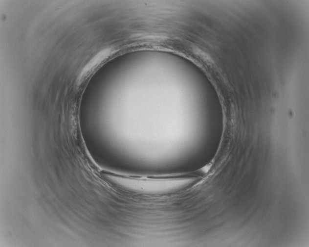 X0000052601354200507221623