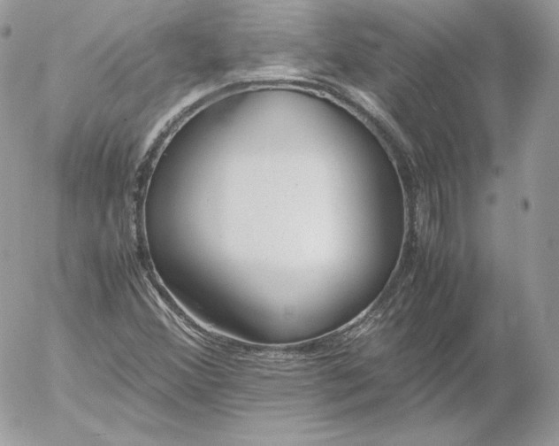 X0000052601356200507221623