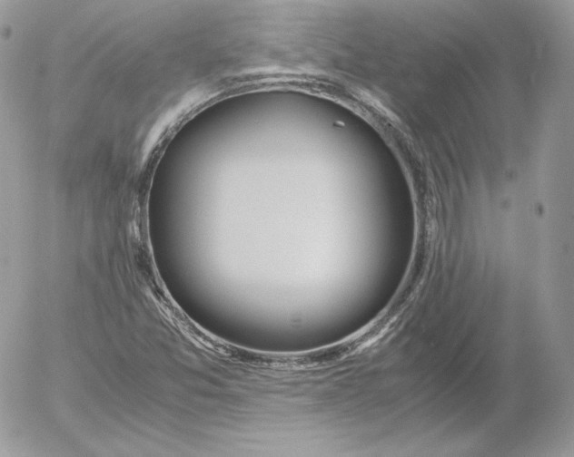 X0000052601357200507221623