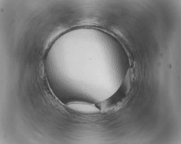 X0000052601358200507221623