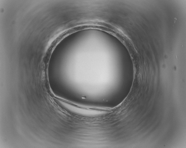 X0000052601360200507221623