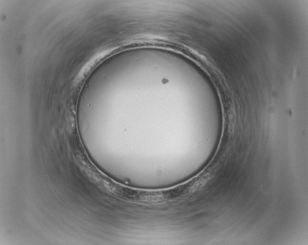 X0000052601363200507221623