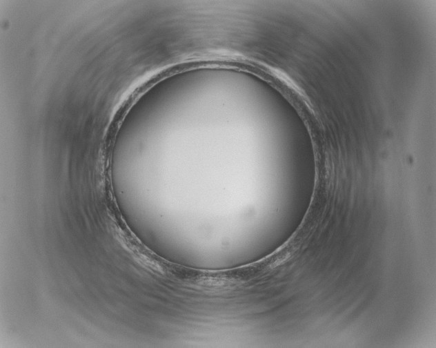 X0000052601364200507221623