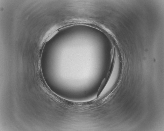 X0000052601365200507221623