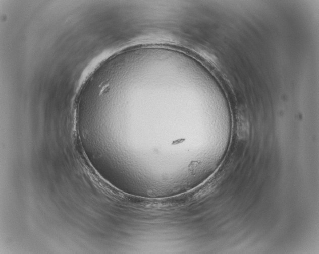 X0000052601366200507221623