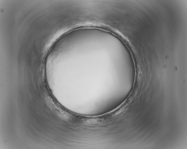 X0000052601367200507221623