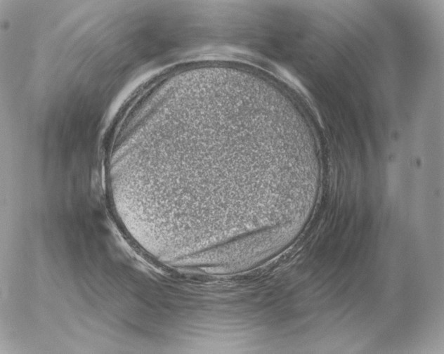 X0000052601368200507221623