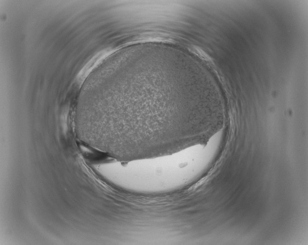 X0000052601369200507221623