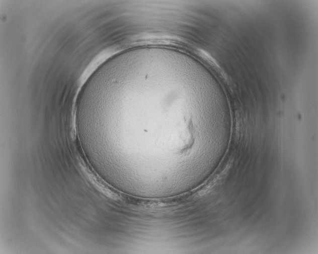 X0000052601370200507221623