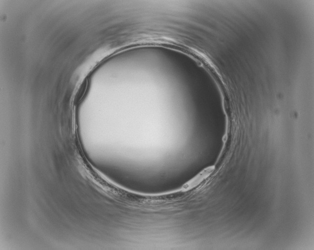 X0000052601371200507221623