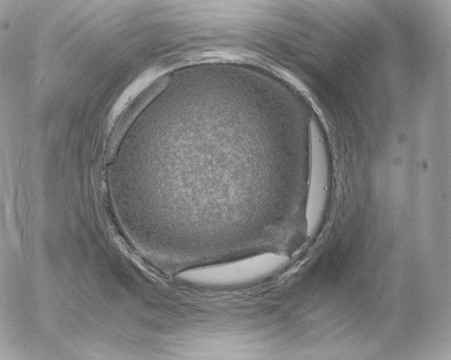 X0000052601373200507221623