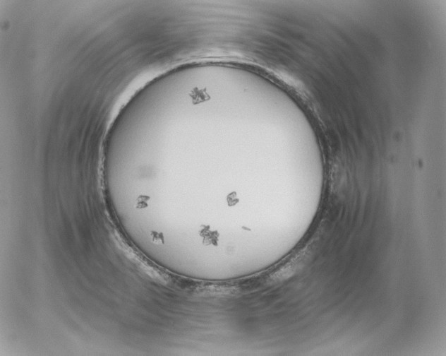 X0000052601374200507221623