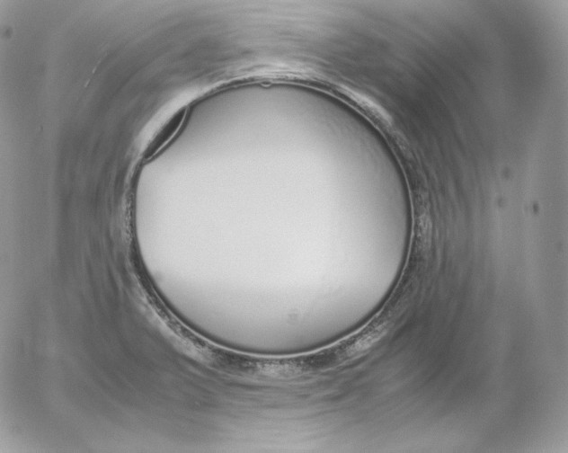 X0000052601375200507221623