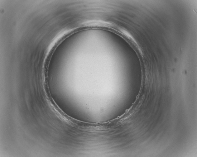 X0000052601376200507221623