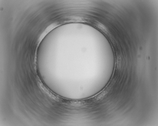 X0000052601378200507221623