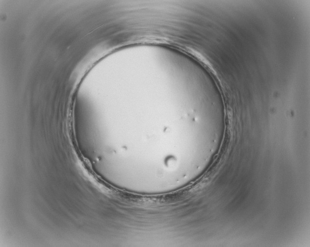 X0000052601379200507221623