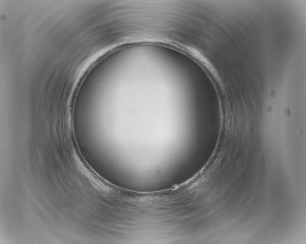 X0000052601380200507221623