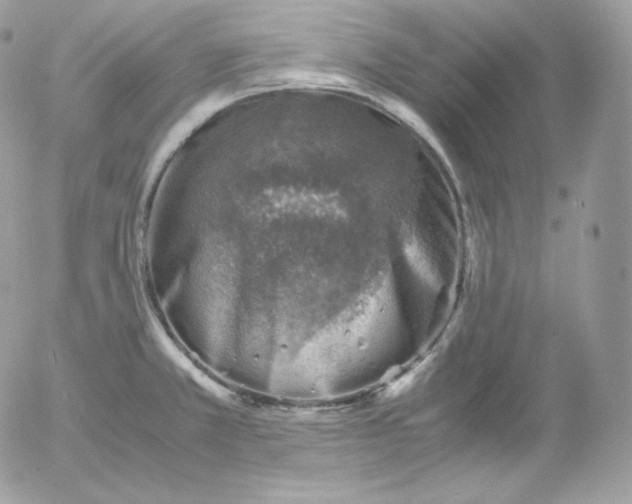 X0000052601381200507221623